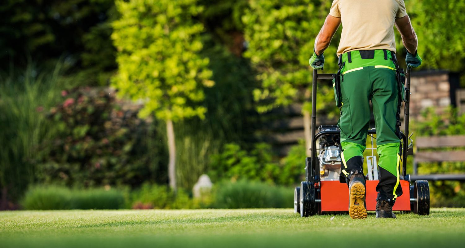 Back View of Professional Gardener Mowing the Backyard Lawn with Push Mower. Garden Care and Maintenance Theme.; Shutterstock ID 2262824739; purchase_order: -; job: -; client: -; other: -